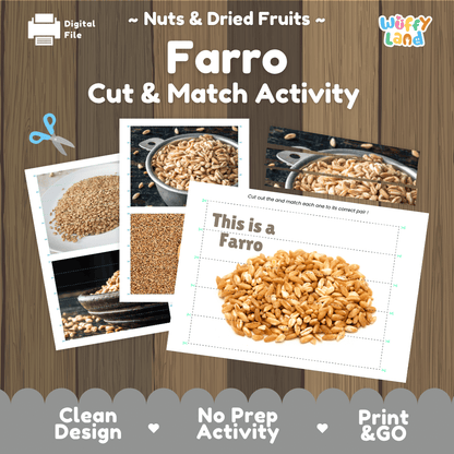Farro Cut and Match Activity Worksheets | Nuts and Dried Fruits Puzzle Printables