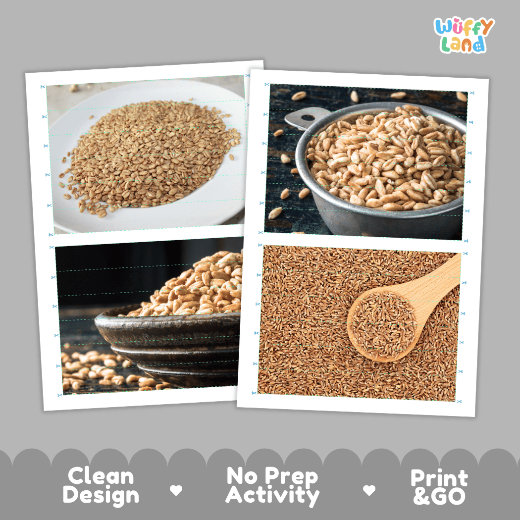 Farro Cut and Match Activity Worksheets | Nuts and Dried Fruits Puzzle Printables