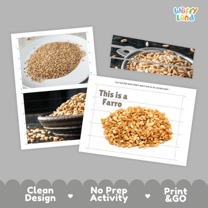 Farro Cut and Match Activity Worksheets | Nuts and Dried Fruits Puzzle Printables