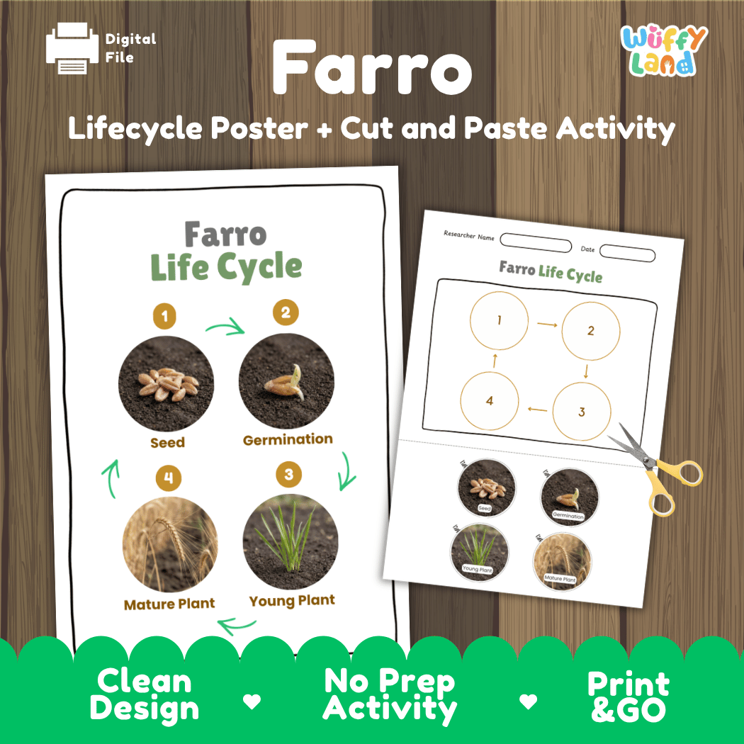 Farro Life Cycle Poster and Cut and Paste Worksheet Activity