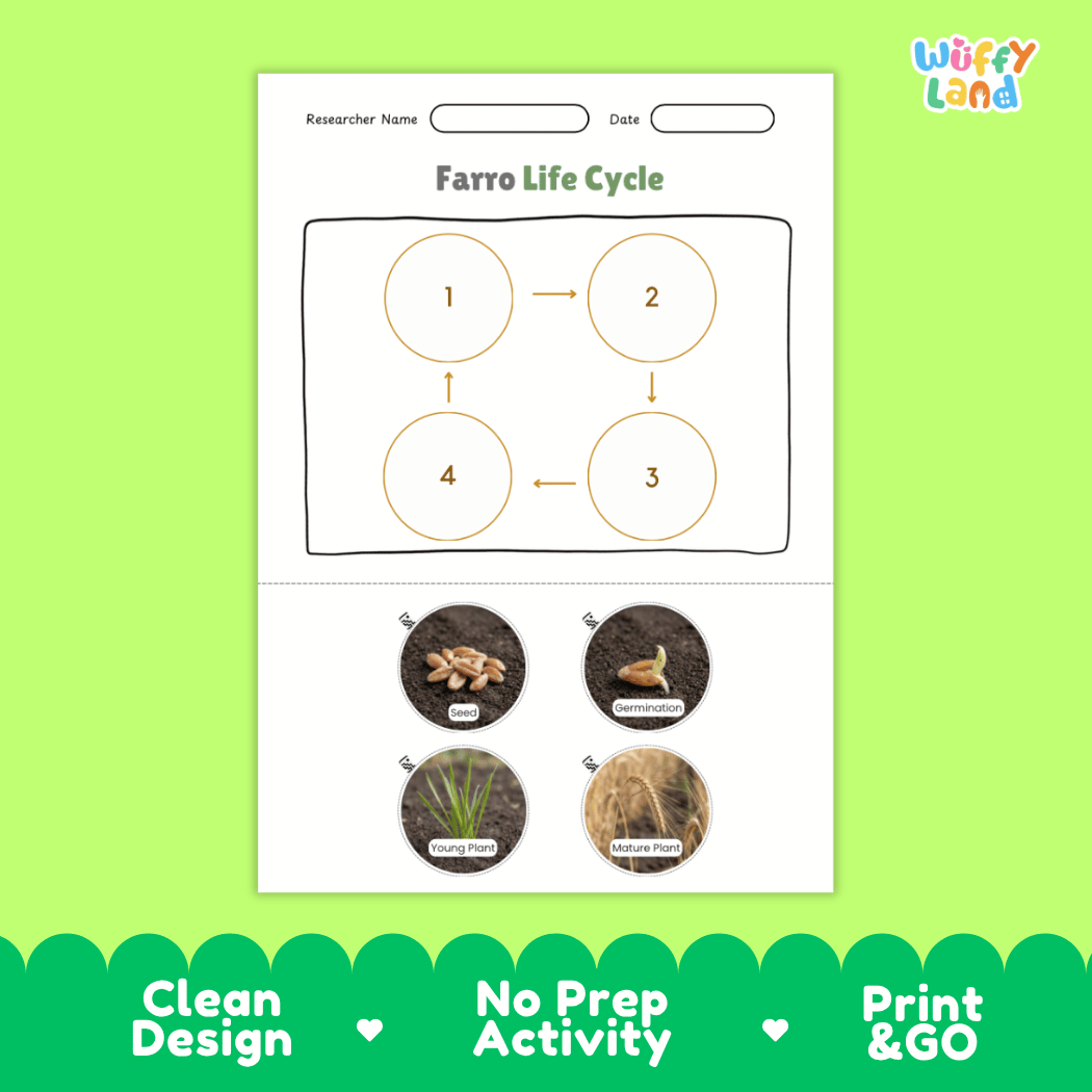 Farro Life Cycle Poster and Cut and Paste Worksheet Activity