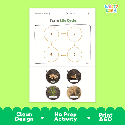 Farro Life Cycle Poster and Cut and Paste Worksheet Activity