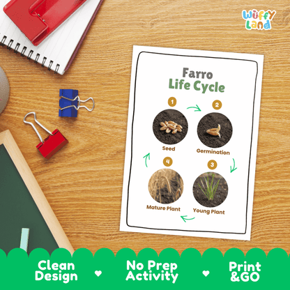 Farro Life Cycle Poster and Cut and Paste Worksheet Activity