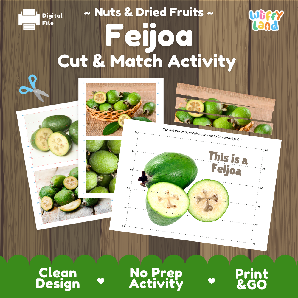 Feijoa cut and match activity cover showing printable fine motor puzzle sheets and fruit photographs