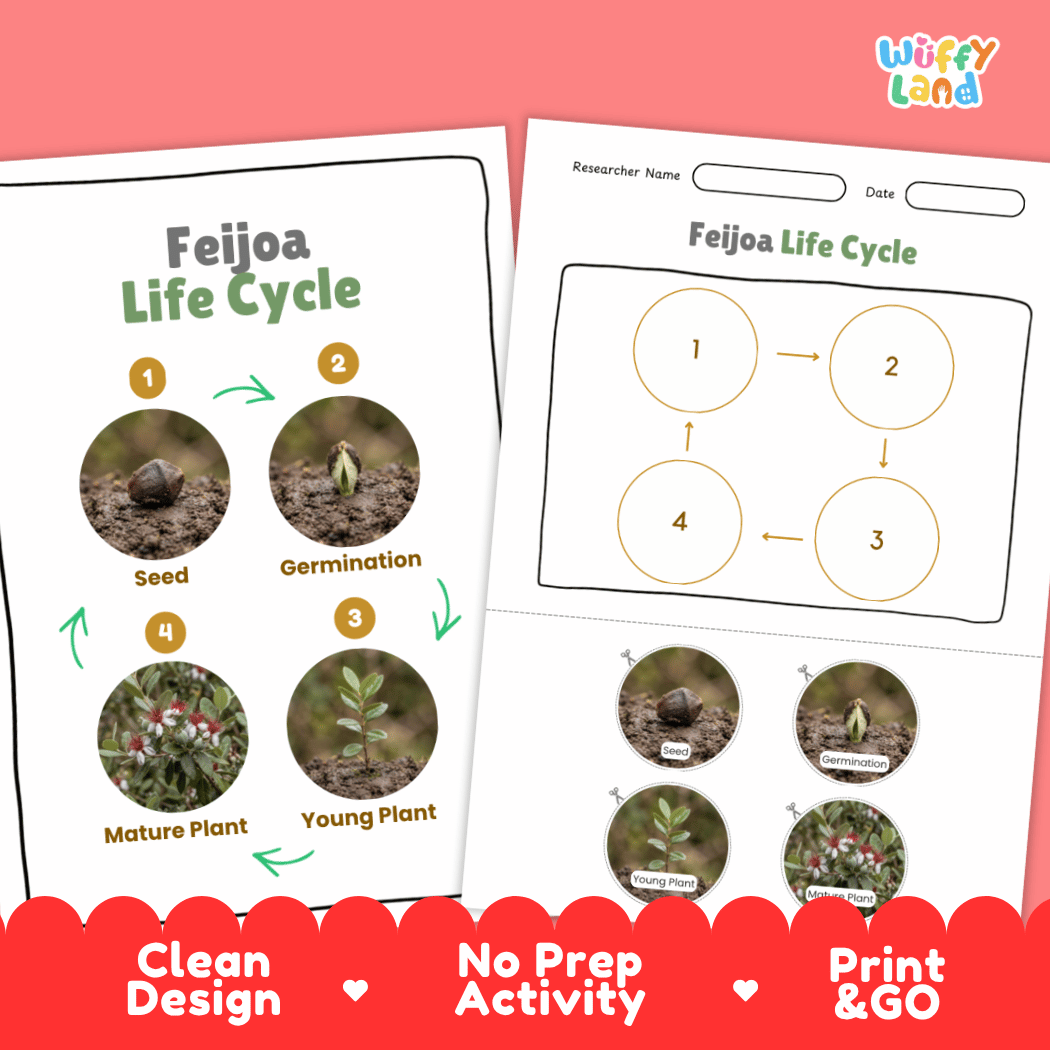 Print and go digital PDF plant science activity featuring clean design layout, researcher name line, and zero prep classroom format