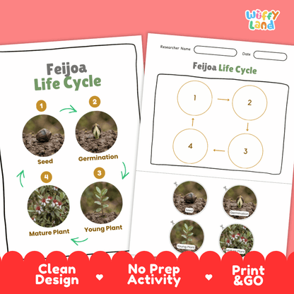 Print and go digital PDF plant science activity featuring clean design layout, researcher name line, and zero prep classroom format