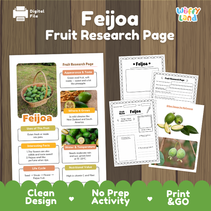 Feijoa Fruit Research Page Worksheets and Fact Sheet