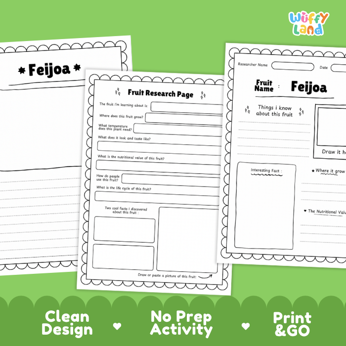 Feijoa Fruit Research Page Worksheets and Fact Sheet