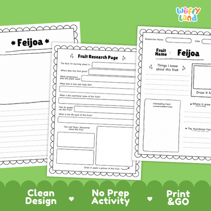 Feijoa Fruit Research Page Worksheets and Fact Sheet
