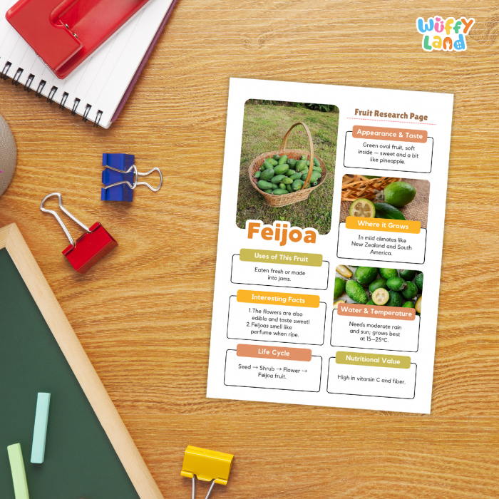 Feijoa Fruit Research Page Worksheets and Fact Sheet