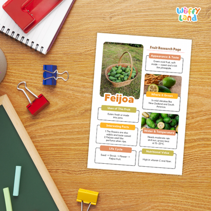 Feijoa Fruit Research Page Worksheets and Fact Sheet