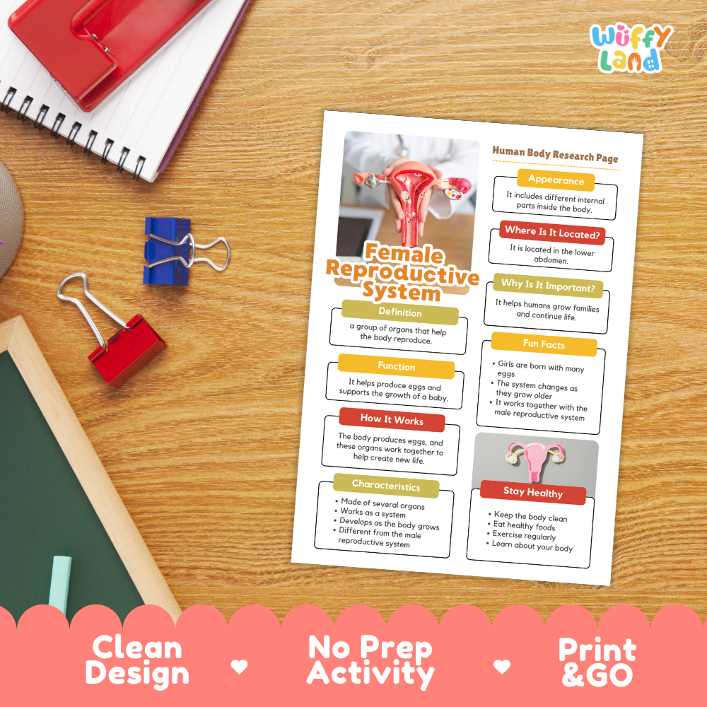 Close-up of informational summary sheet detailing female reproductive system definitions, fun facts, and healthy habits
