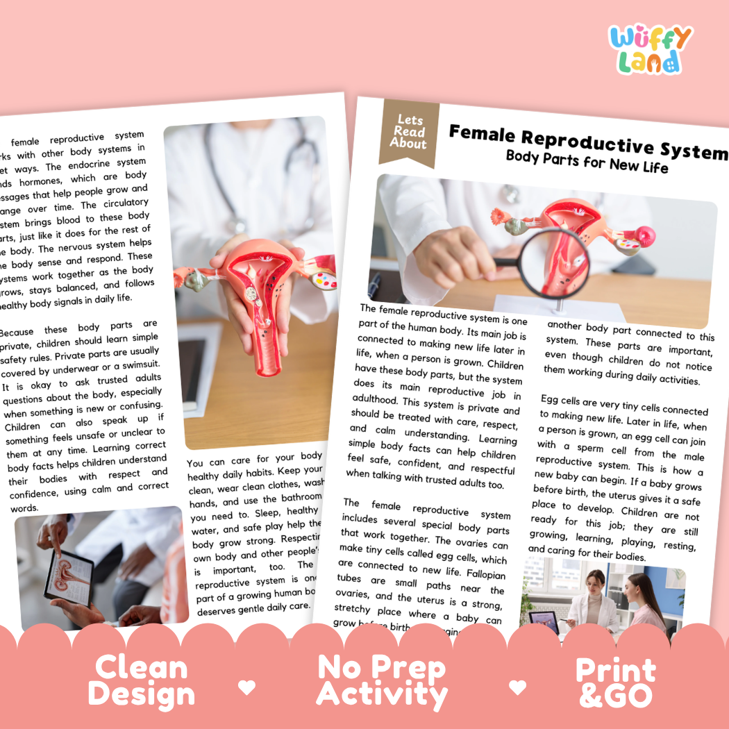 Teacher answer key page showing complete question solutions for Female Reproductive System human body reading comprehension practice