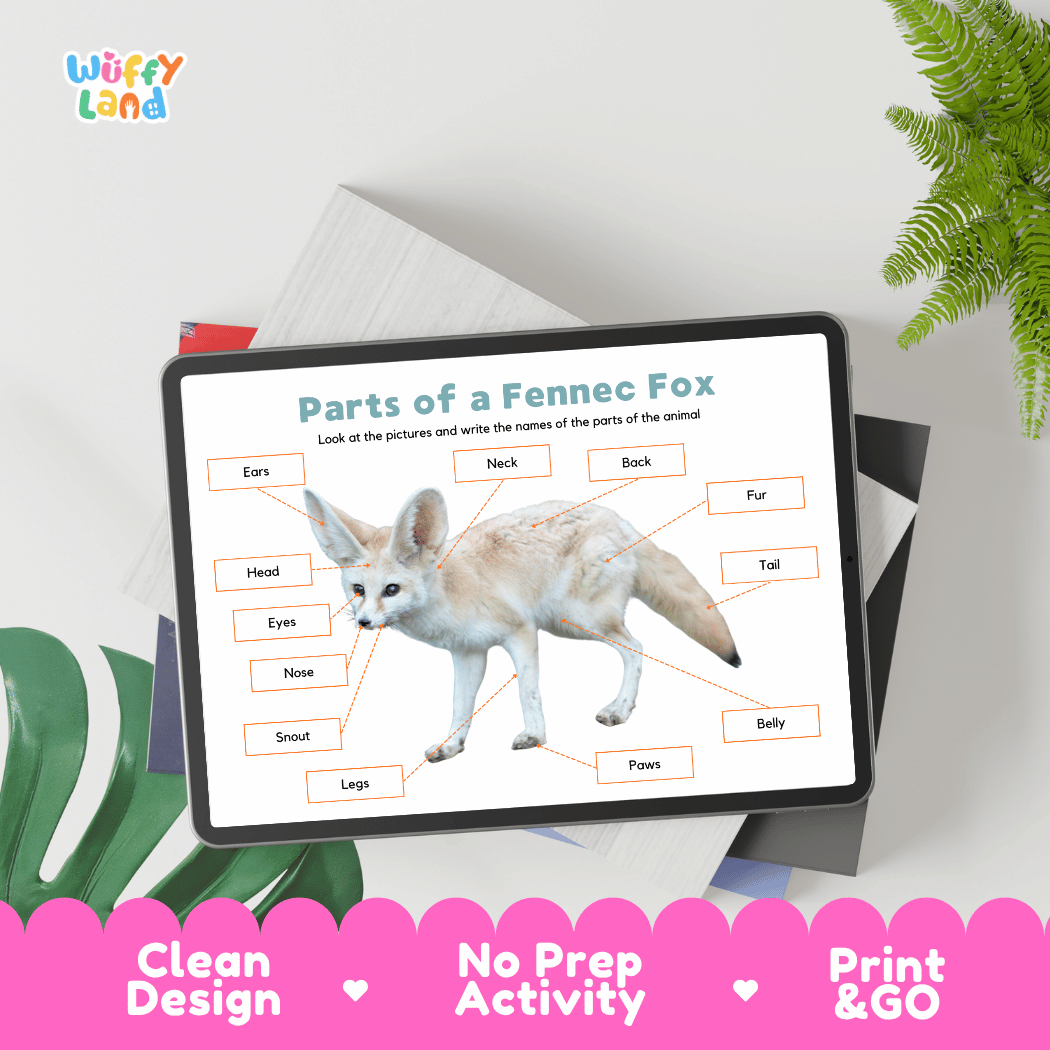  Hands-on fennec fox anatomy cut and paste worksheet with printable word tags, callout pointer lines, and scissors graphic