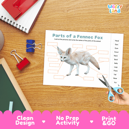 Differentiated fennec fox body parts labeling worksheets featuring fill-in write-in boxes and vocabulary word bank