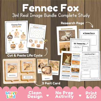 Fennec Fox 3-in-1 real image bundle complete study cover showing cut and paste life cycle, 3 part cards, and research pages