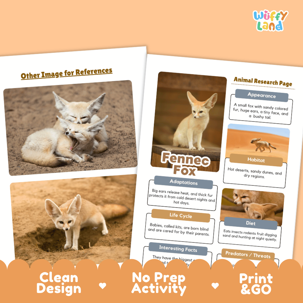 Fennec Fox Animal Research Page Worksheets and Fact Sheet