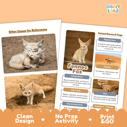 Fennec Fox Animal Research Page Worksheets and Fact Sheet