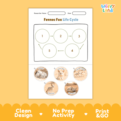 Fennec Fox Life Cycle Poster and Cut and Paste Worksheet Activity