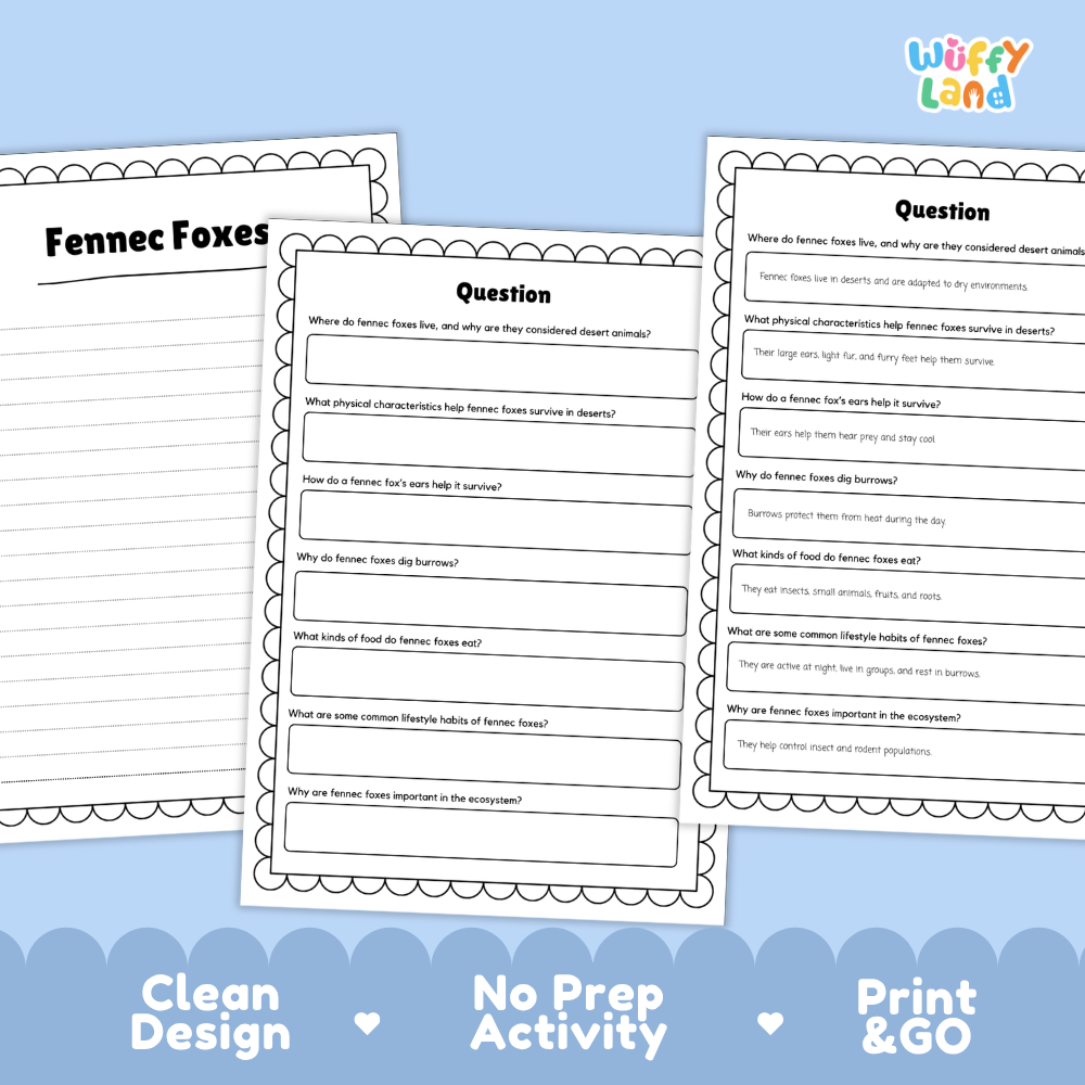 Three printable educational activity sheets for 'Fennec Foxes' by Wiffly Land, displayed on a light blue background with decorative scalloped borders and text reading 'Clean Design', 'No Prep Activity', and 'Print & GO'.