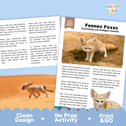 Two educational reading activity cards about fennec foxes, displayed on a light gray background. The cards feature a clean white and light blue design with black text and colorful illustrations of fennec foxes in a desert setting.