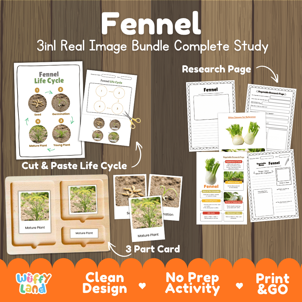Fennel 3in1 real image bundle complete study printable featuring life cycle cut and paste worksheets, Montessori 3-part cards, and research pages