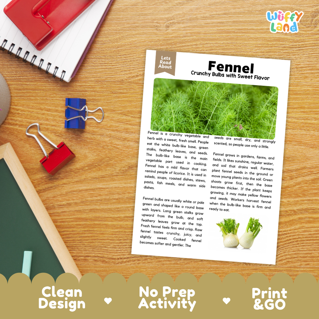 Student reading comprehension worksheet with short-answer questions and lined sections about fennel vegetable and herb plants