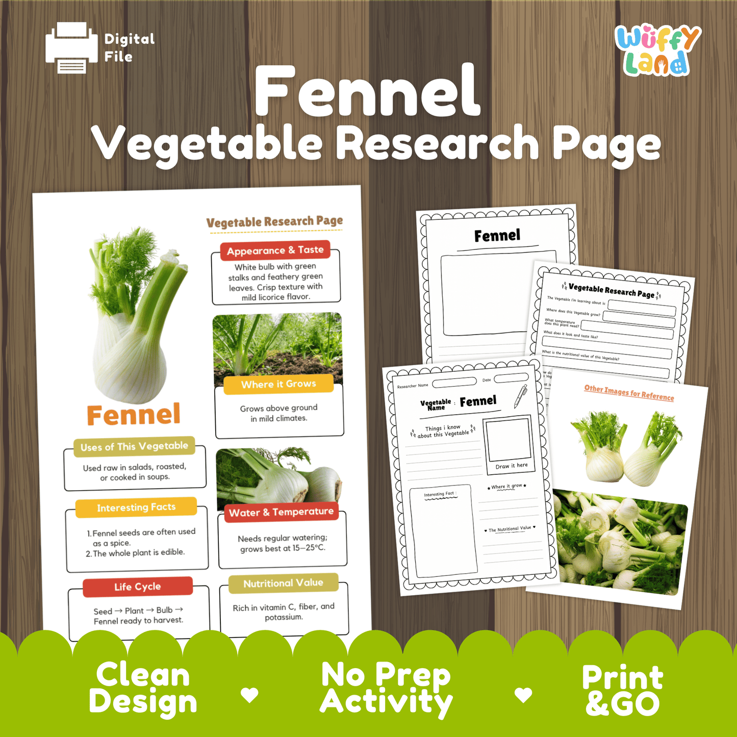 Fennel Vegetable Research Activity Worksheet Science Plant Parts Healthy Eating