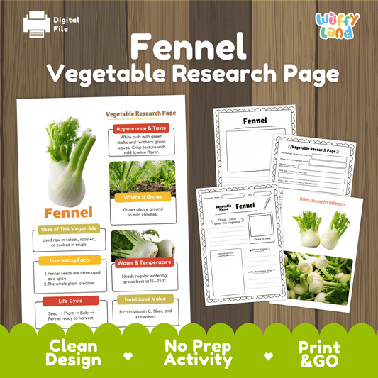 Fennel Vegetable Research Activity Worksheet Science Plant Parts Healthy Eating