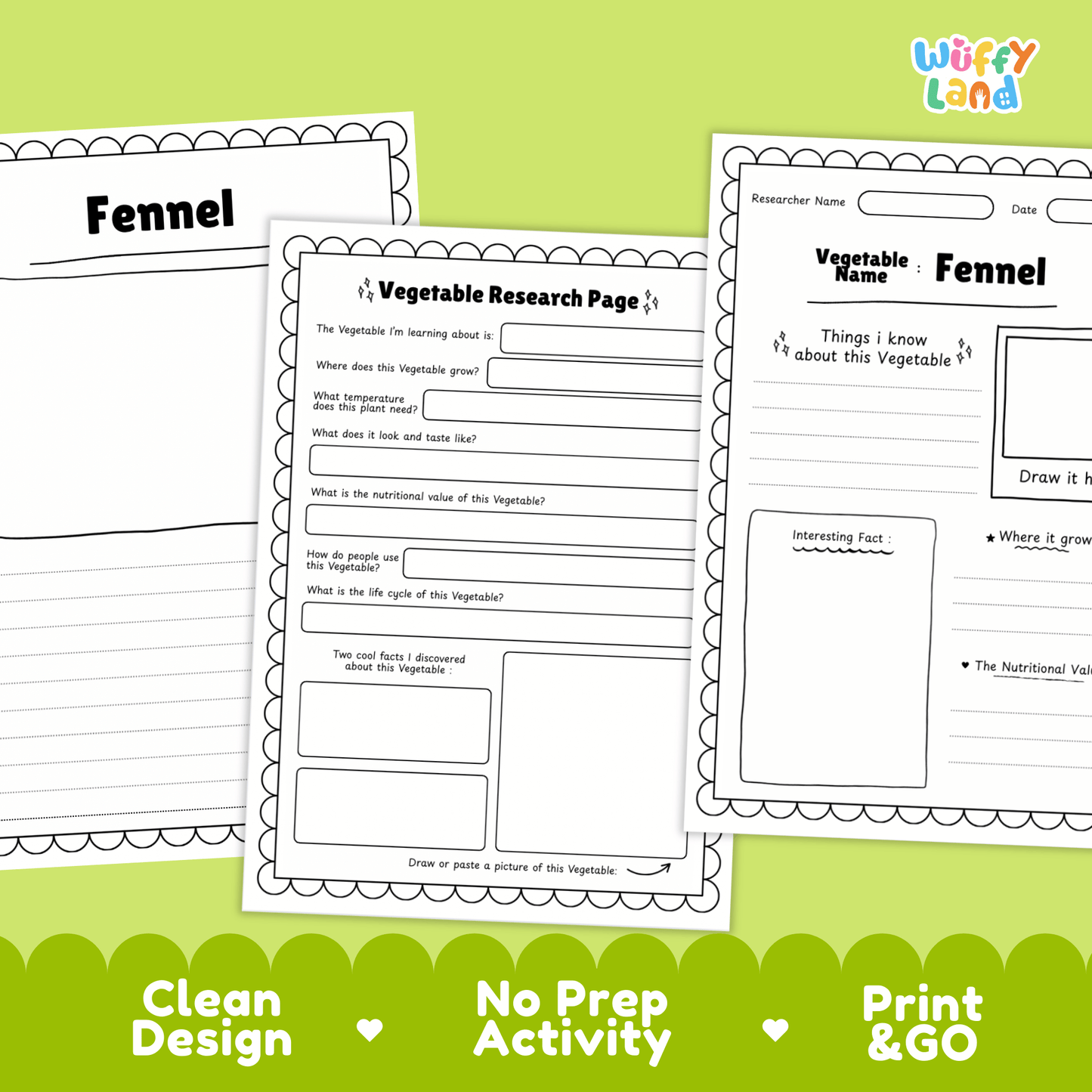 Fennel Vegetable Research Activity Worksheet Science Plant Parts Healthy Eating