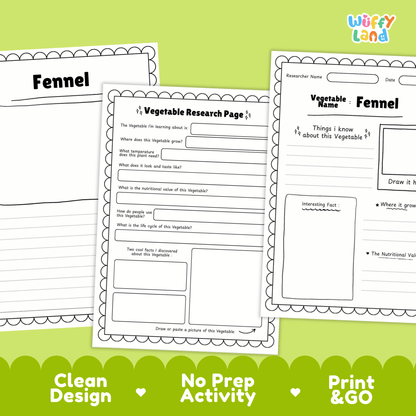 Fennel Vegetable Research Activity Worksheet Science Plant Parts Healthy Eating