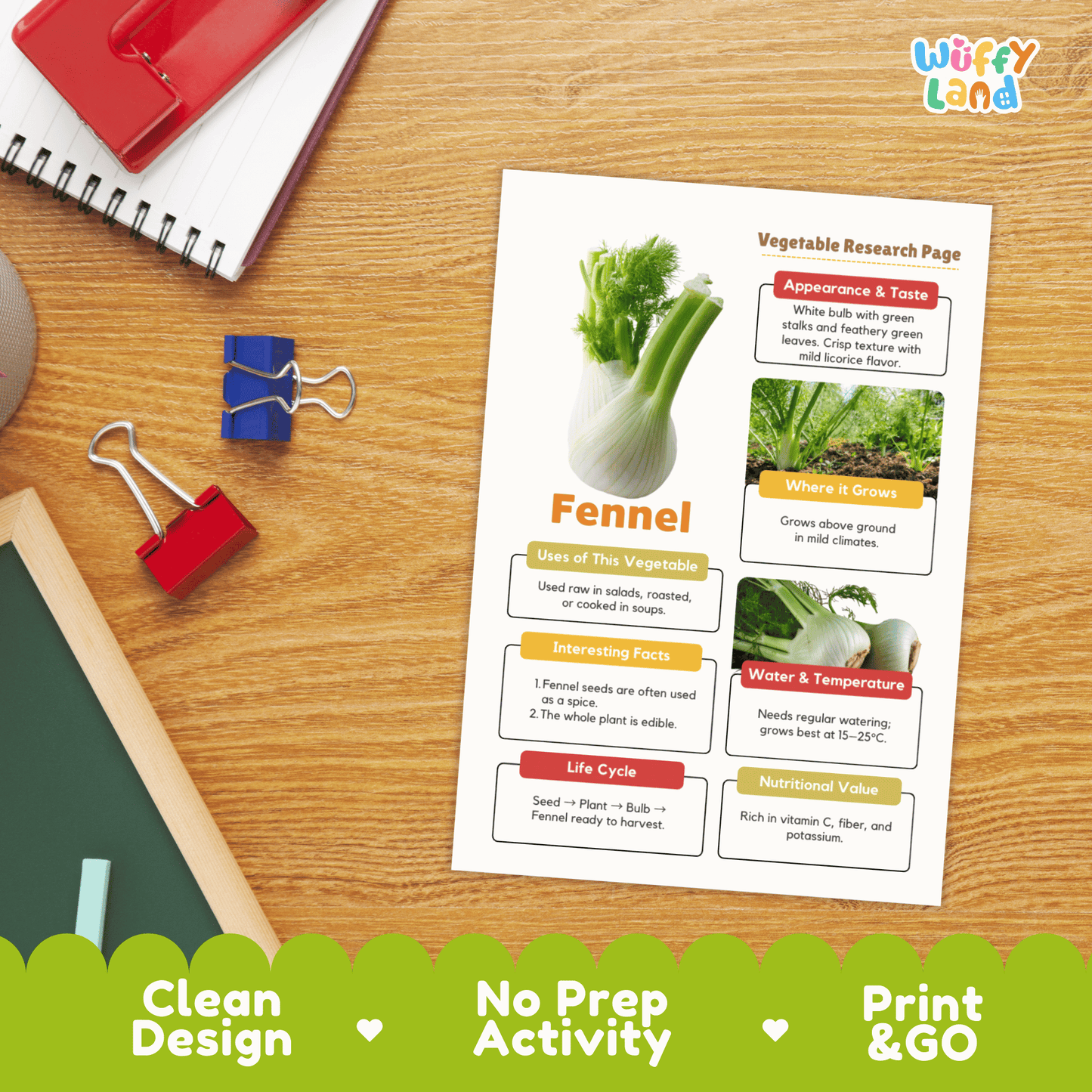 Fennel Vegetable Research Activity Worksheet Science Plant Parts Healthy Eating
