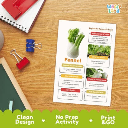 Fennel Vegetable Research Activity Worksheet Science Plant Parts Healthy Eating