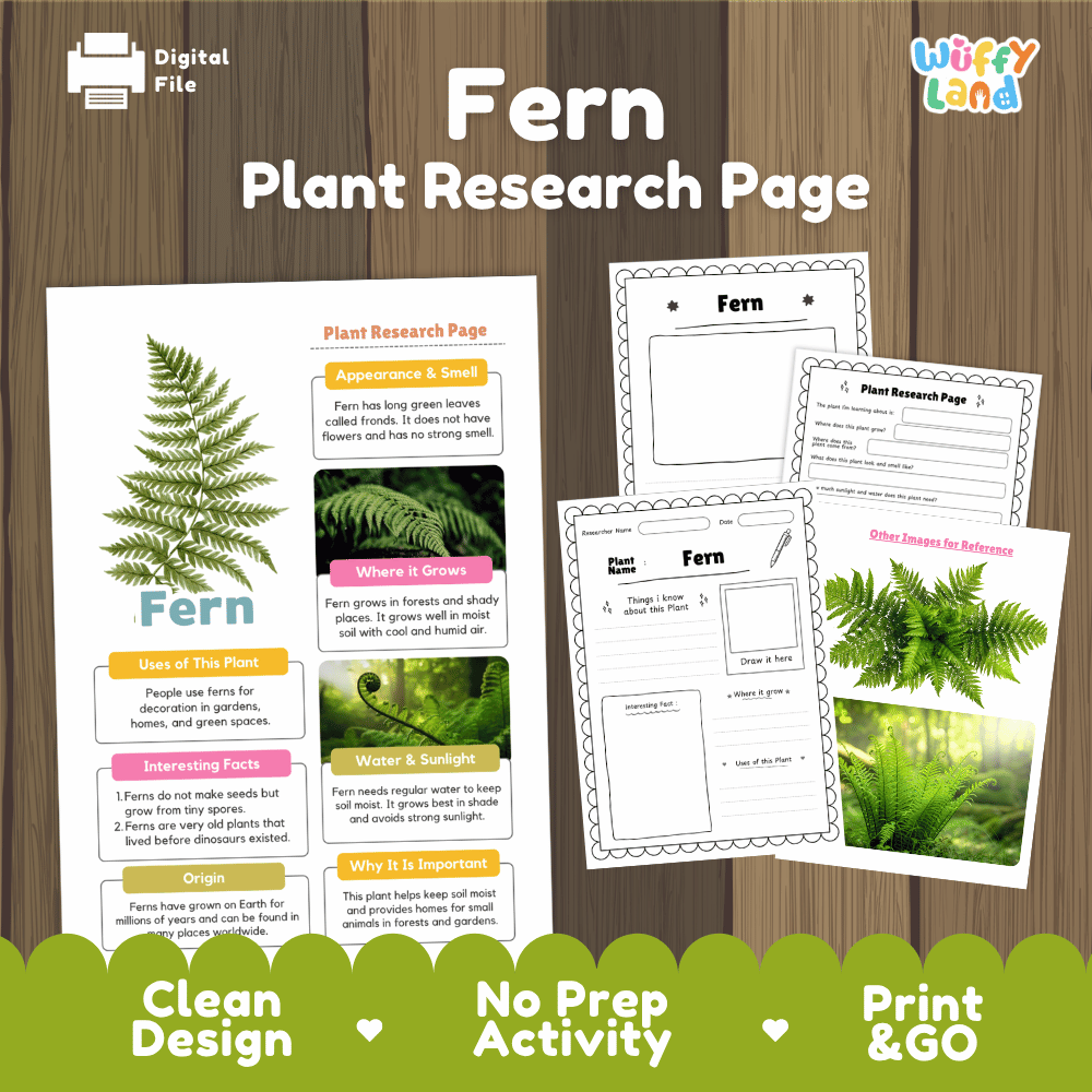 Fern Plant Research Page Worksheets and Information Poster