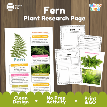 Fern Plant Research Page Worksheets and Information Poster