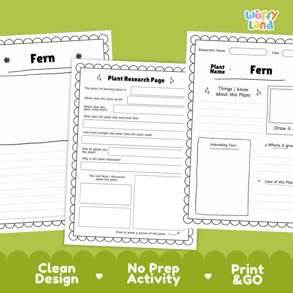 Fern Plant Research Page Worksheets and Information Poster
