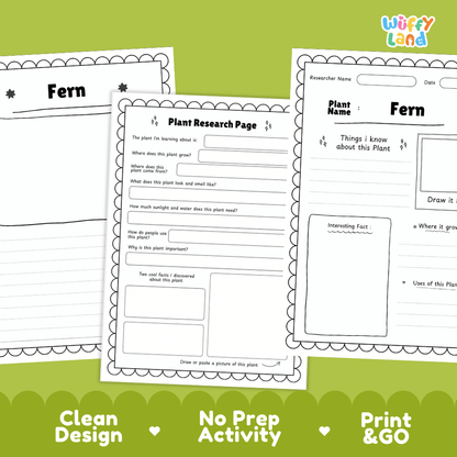 Fern Plant Research Page Worksheets and Information Poster