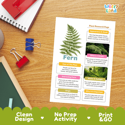 Fern Plant Research Page Worksheets and Information Poster