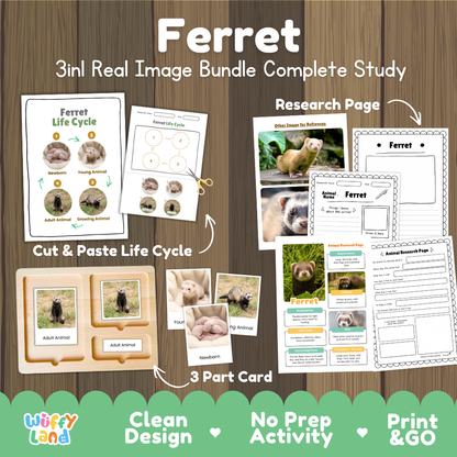 Ferret 3-in-1 real image bundle complete study cover showing cut and paste life cycle, 3 part cards, and research pages