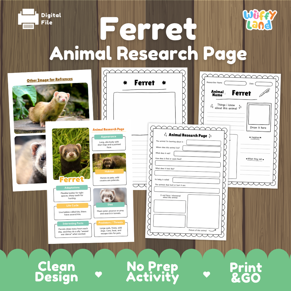 Digital preview of a 'Ferret Animal Research Page' activity sheet set by Wiffy Land, displayed on a wood-grain background with green banner accents at the bottom.
