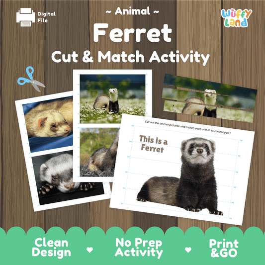 Ferret Cut and Match Activity Worksheets | Pet Animal Puzzle Printables