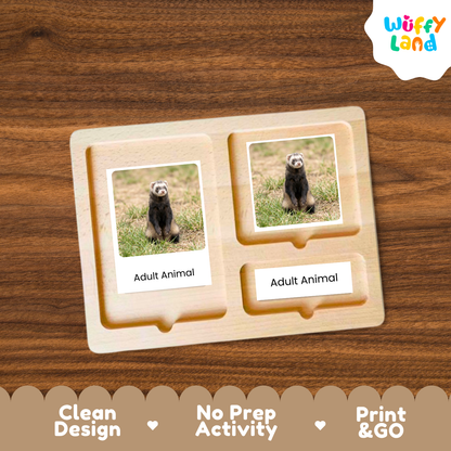 A wooden Montessori-style activity tray with two labeled slots reading 'Adult Animal,' each holding a small photo card of an adult animal. The tray is placed on a brown wood surface, with a Wuffy Land logo in the top right and a decorative banner at the bottom highlighting clean design, no prep activity, and print & go.