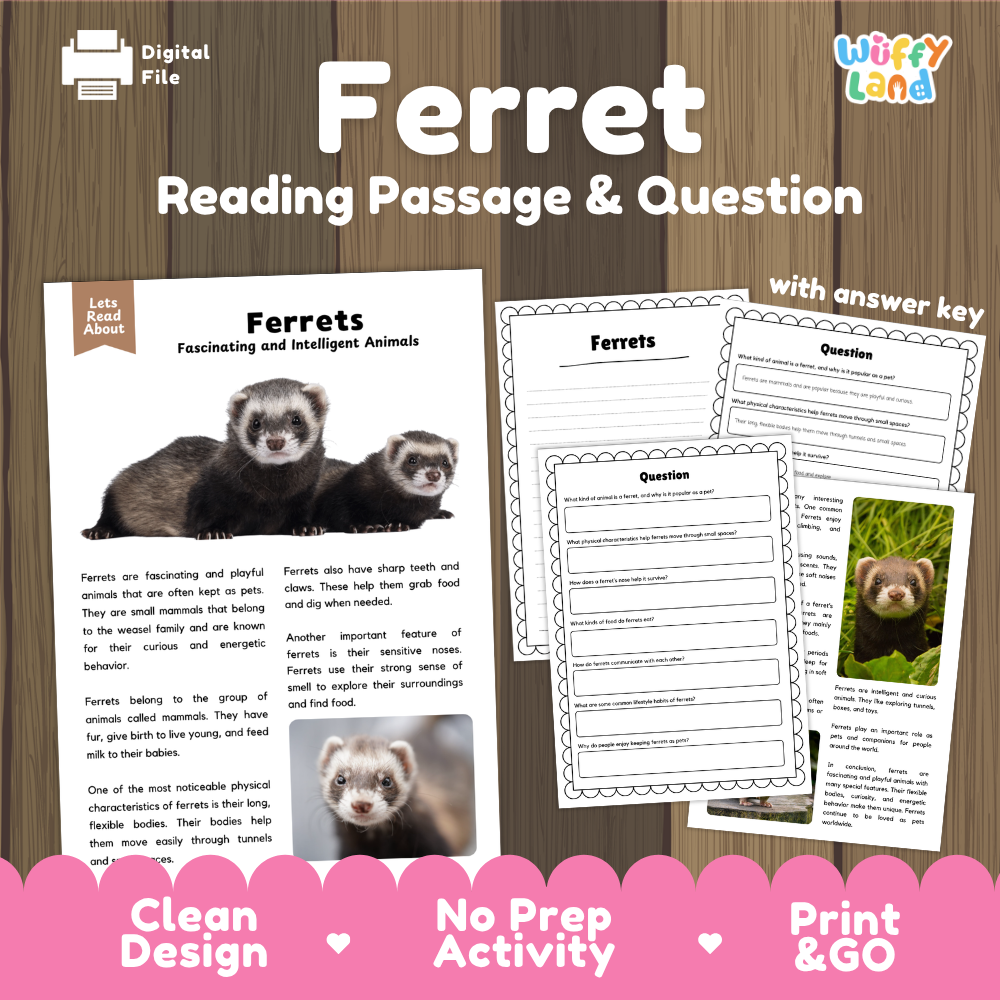 Ferrets Reading Passage and Comprehension Questions Worksheets with Answer Key