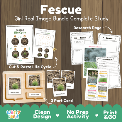 Fescue grass plant 3in1 real image bundle complete study printable featuring life cycle cut and paste worksheets, Montessori 3-part cards, and research pages