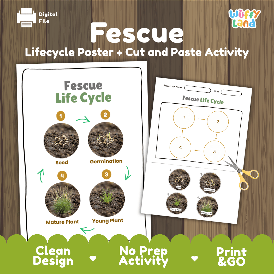 Fescue Life Cycle Poster and Cut and Paste Worksheet Activity