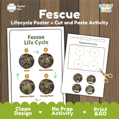 Fescue Life Cycle Poster and Cut and Paste Worksheet Activity