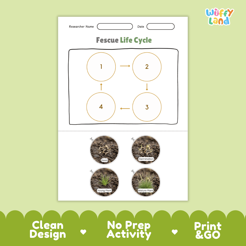 Fescue Life Cycle Poster and Cut and Paste Worksheet Activity