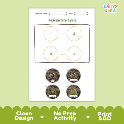 Fescue Life Cycle Poster and Cut and Paste Worksheet Activity