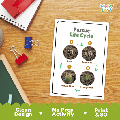 Fescue Life Cycle Poster and Cut and Paste Worksheet Activity