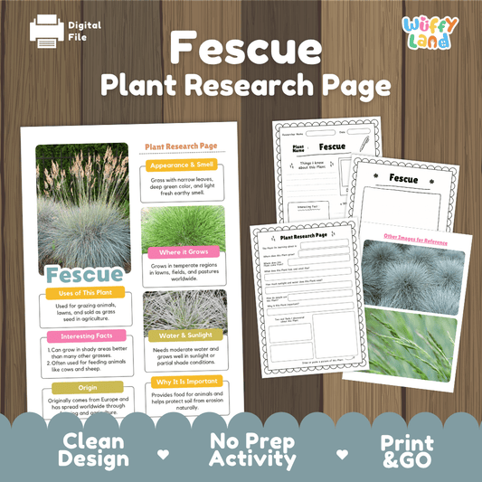 Student plant research page writing worksheets with real close up fescue grass blades and open pasture field photos, lined note-taking prompts, and drawing frames
